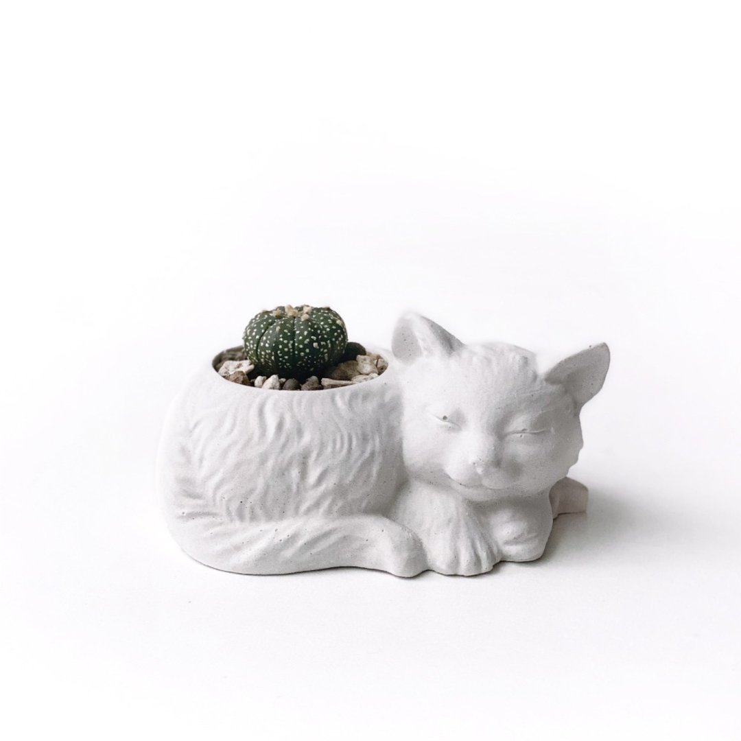 (预购) 纯灰系列 | 星兜 睡觉猫咪纯灰水泥多肉植栽 - 植栽/盆栽 - 植物．花 灰色
