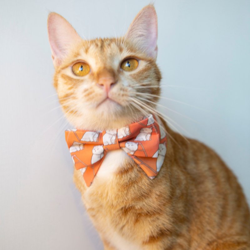 A字白猫 独家手绘猫星人图案宠物项圈 领结造型橙色围脖 可印字 - 项圈/牵绳 - 其他人造纤维 橘色