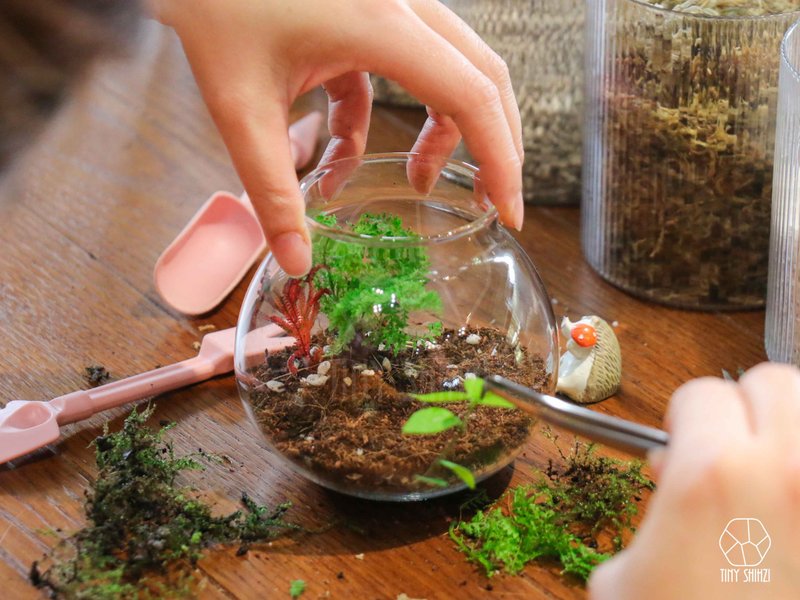 高雄盐埕【里外之间】玻璃生态瓶・微景观植物课程 - 植栽 - 植物．花 