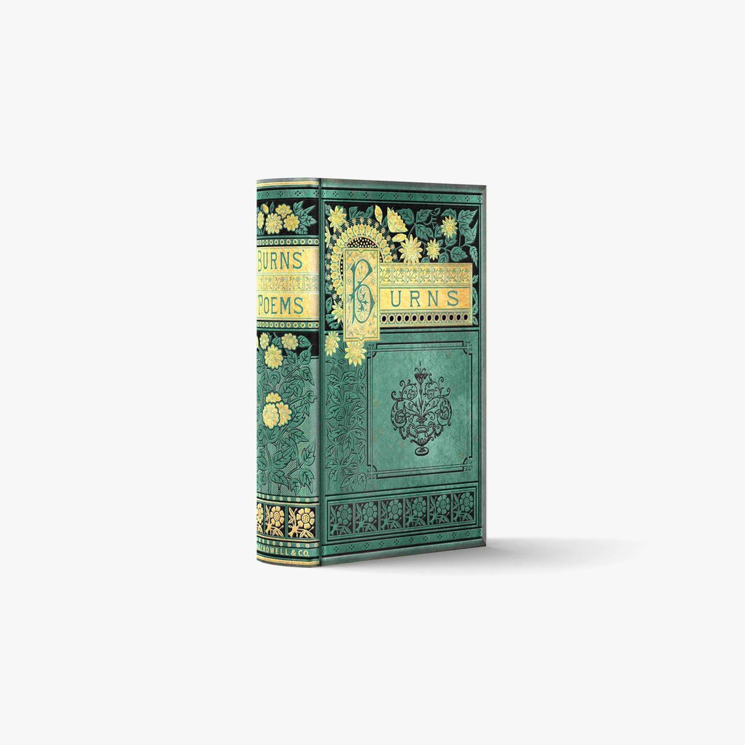 fake book box / POEMS I-BURNS-A【XS / 1 book】| 3D papercraft, PDF template - 图文模板设计 - 其他材质 