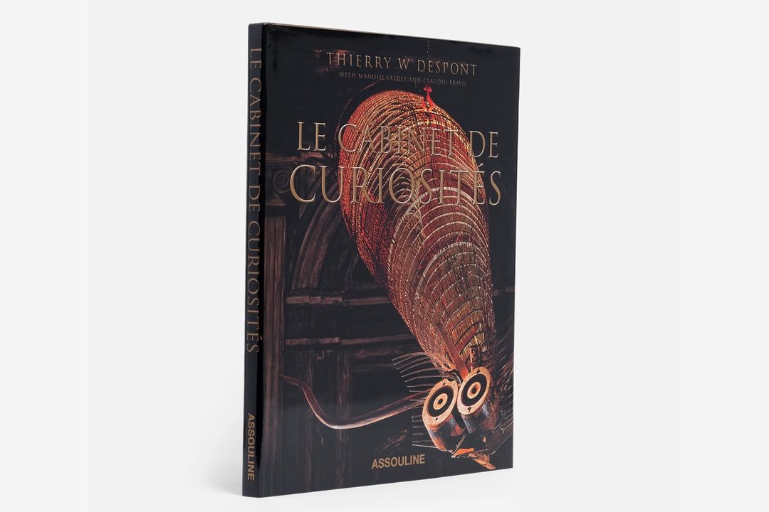 精装书籍-Le Cabinet de Curiosités - 刊物/书籍 - 纸 