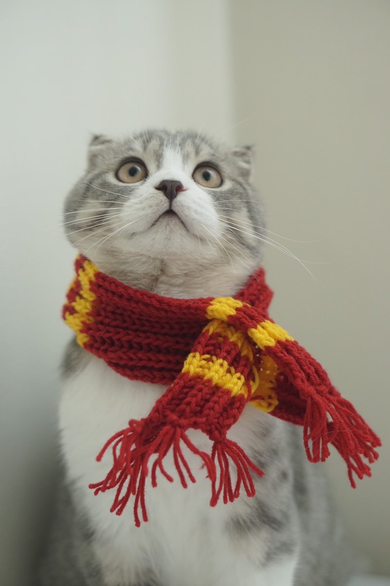 pet knit collar Harry Potter Edition - 项圈/牵绳 - 其他材质 