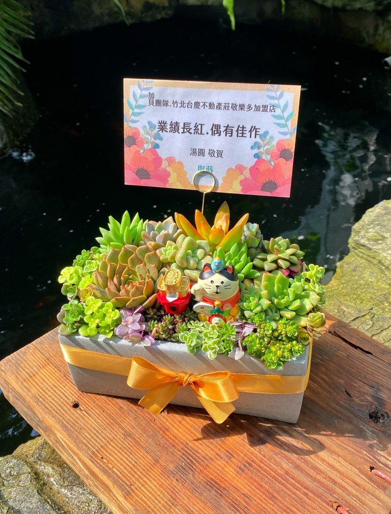 【急单可】季节献礼+公仔 免费定制卡片/安全运送/多肉盆栽/水泥 - 植栽/盆栽 - 植物．花 绿色
