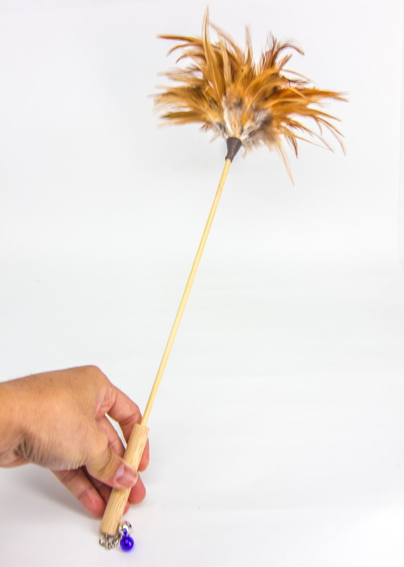 挪威森林  友善逗猫棒 - 玩具 - 羽绒 橘色