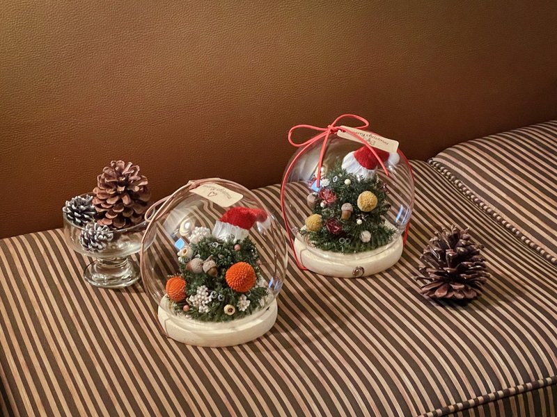 懒洋洋圣诞树 x 不凋雪松干燥花圣诞树 - 干燥花/捧花 - 植物．花 