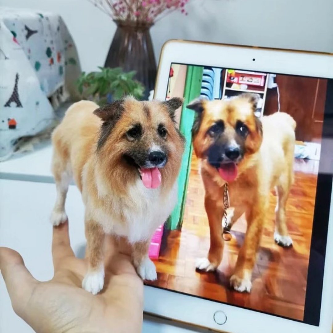 定制 逼真犬 毛孩 宠物 混血犬 羊毛毡 娃娃 似颜绘 纪念 狗狗 t4 - 玩具 - 羊毛 多色