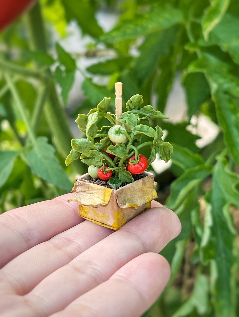 纸板箱中的微型花园番茄幼苗 - 玩偶/公仔 - 其他金属 多色