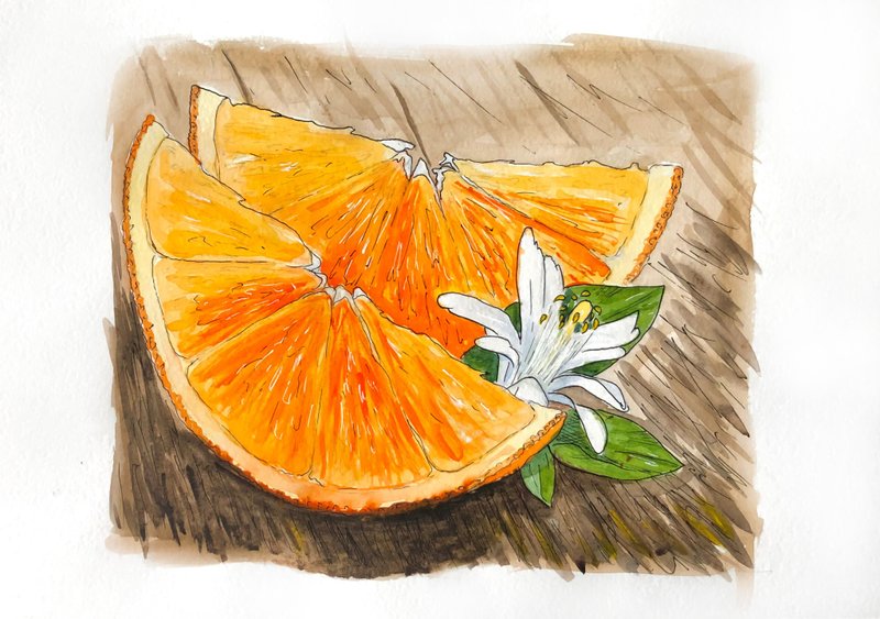 Orange Painting Fruit Original Artwork Orange Watercolor Wall Art Still Life - 海报/装饰画/版画 - 纸 橘色