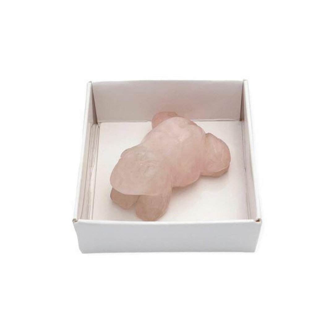 矿物折叠盒 50 毫米方形 10 件套 - 收纳用品 - 纸 白色