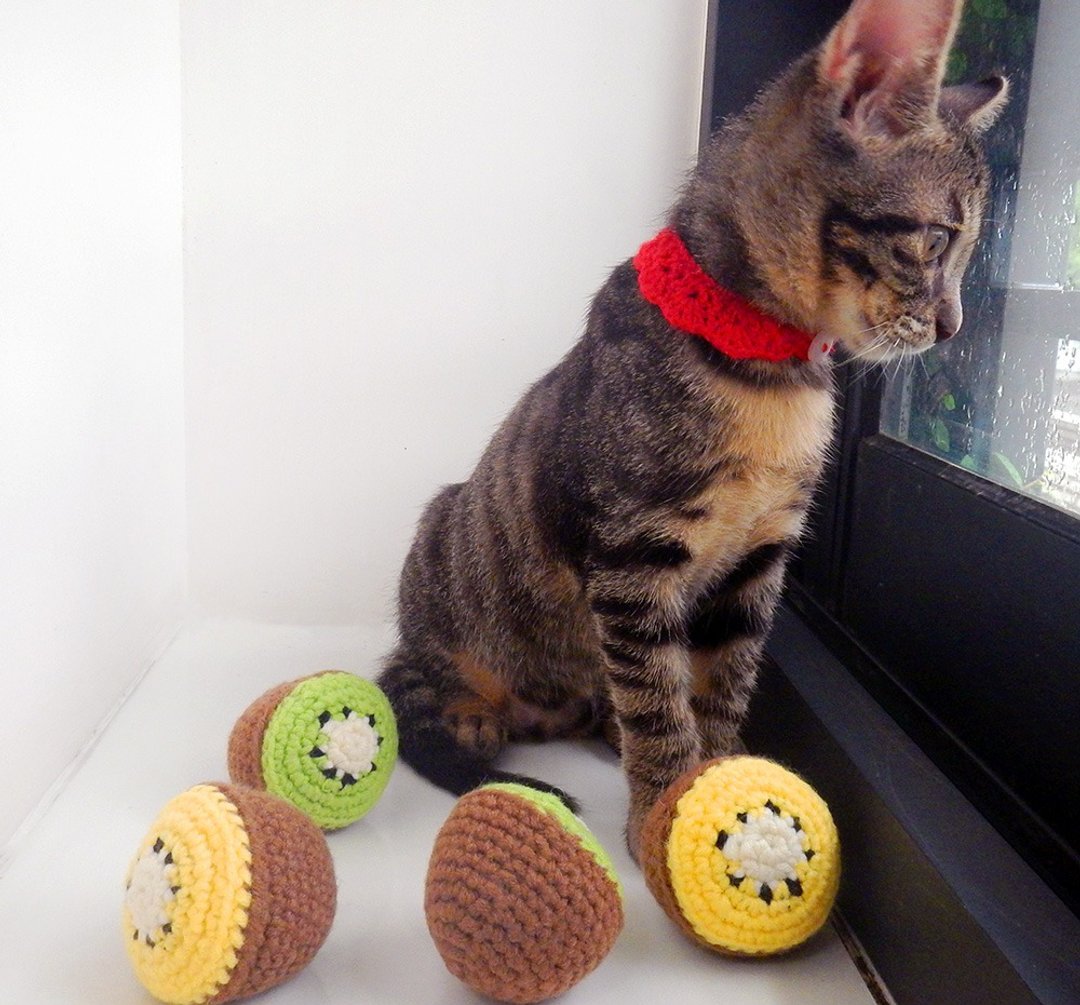 毛线编织猫草玩具 猫咪玩具 猫薄荷 奇异果 - 玩具 - 其他材质 多色