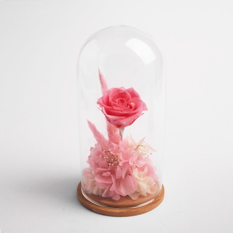 [花里 FORi Flower]  钟罩永生玫瑰花礼-公主 - 植栽/盆栽 - 植物．花 粉红色