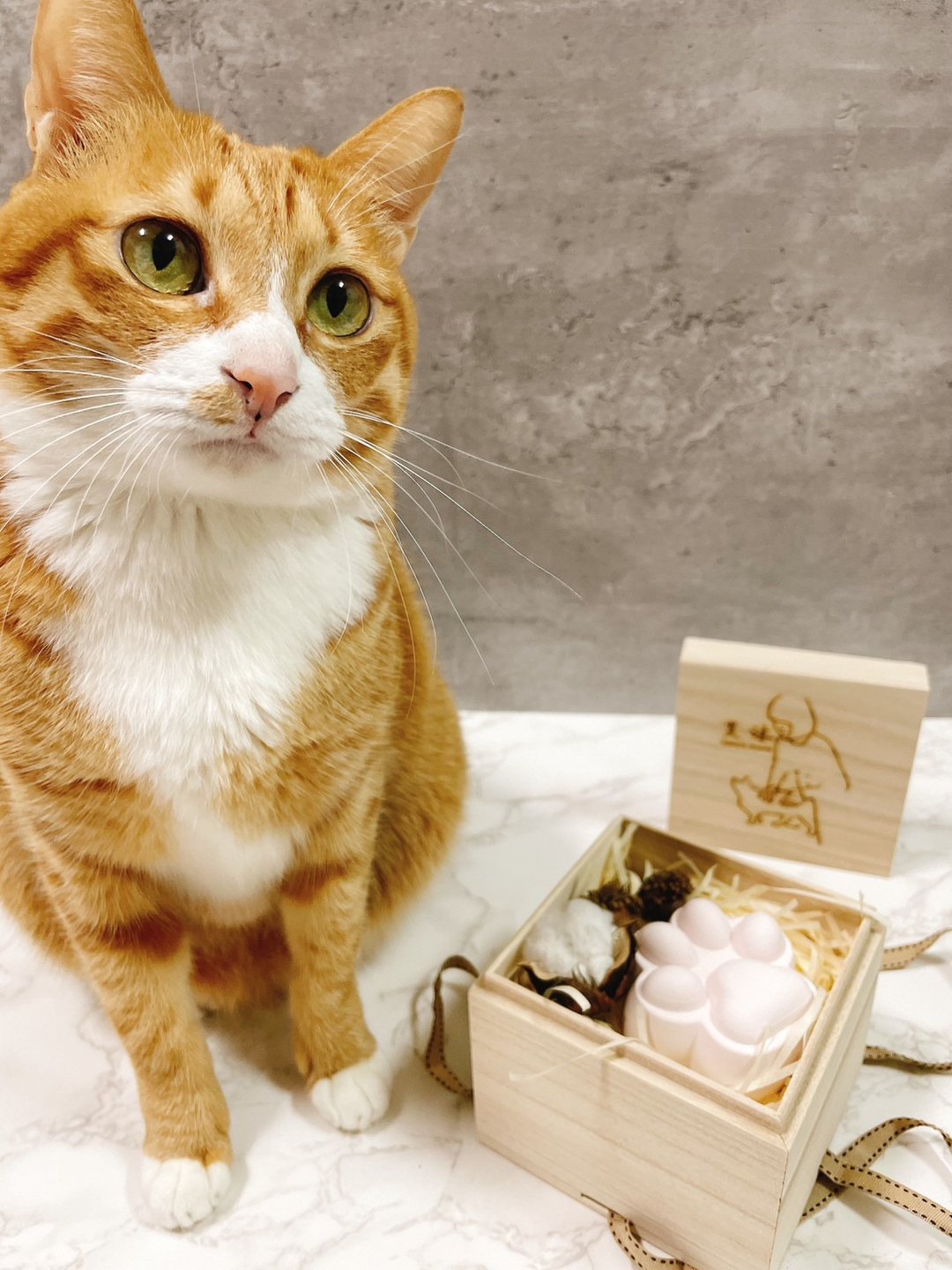 (艾沐手工制作)高雅质感超萌猫掌扩香石木质礼盒 - 香薰/精油/线香 - 精油 粉红色