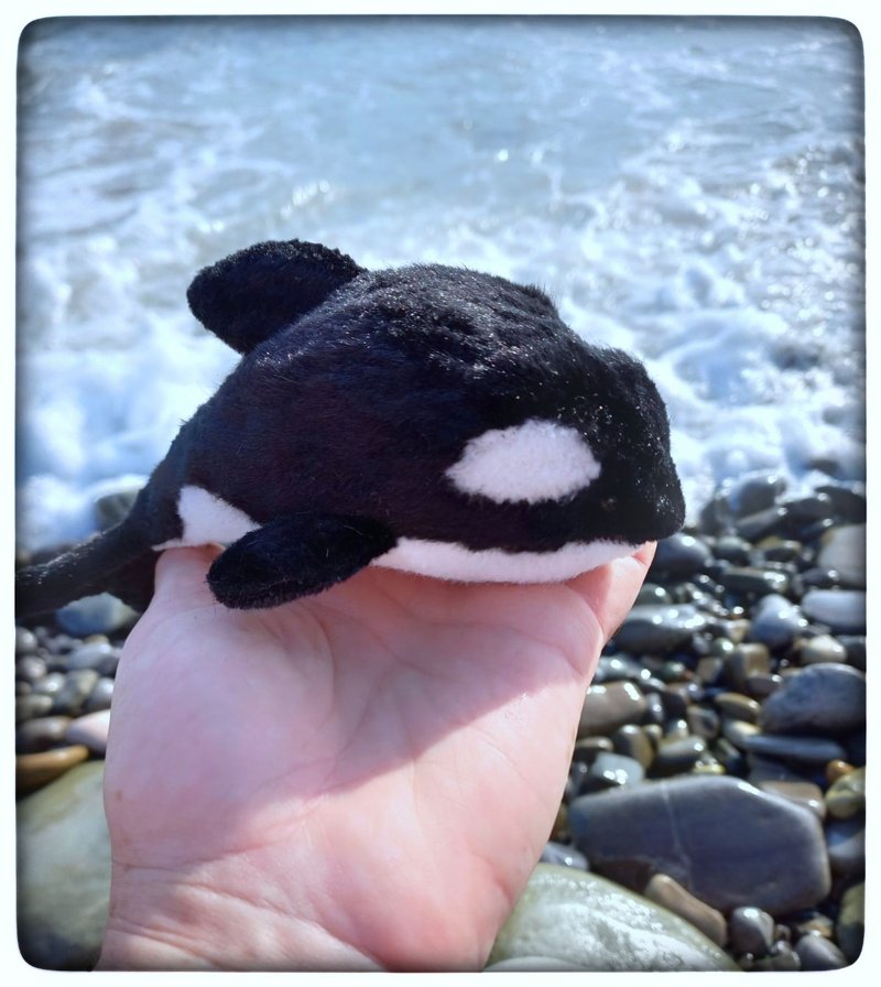Killer whale,stuffed toy,marine life,whale,dolphin,toys.Christmas Gift Wrapping. - 玩偶/公仔 - 其他金属 黑色