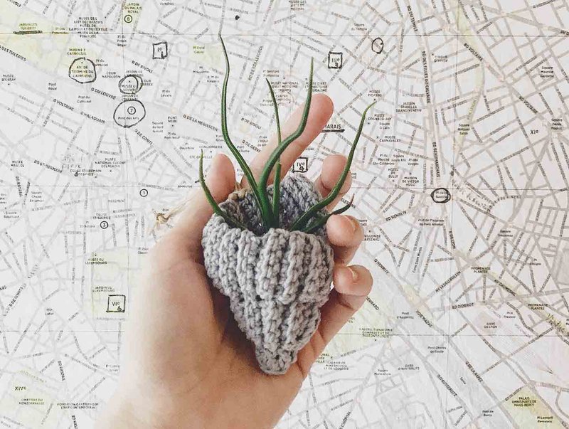 编织海螺迷你植物吊篮 (适合空气凤梨 迷你盆栽) - 花瓶/陶器 - 棉．麻 灰色