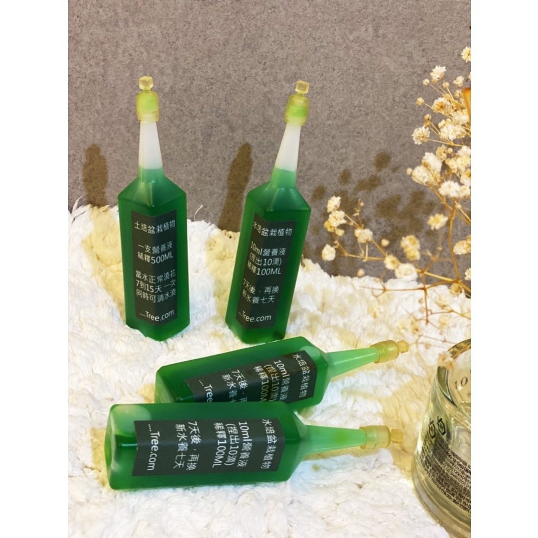 蕨美植栽 植物营养液 土培水耕适用 38ML 促进健康成长 - 植栽/盆栽 - 浓缩/萃取物 