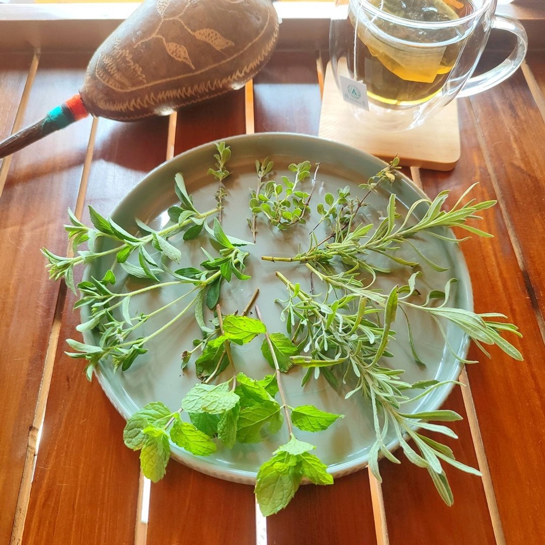 薰衣草花茶包-农园4种纯净香草-甜薰衣草+马郁兰+绿薄荷+甜菊 - 茶 - 植物．花 