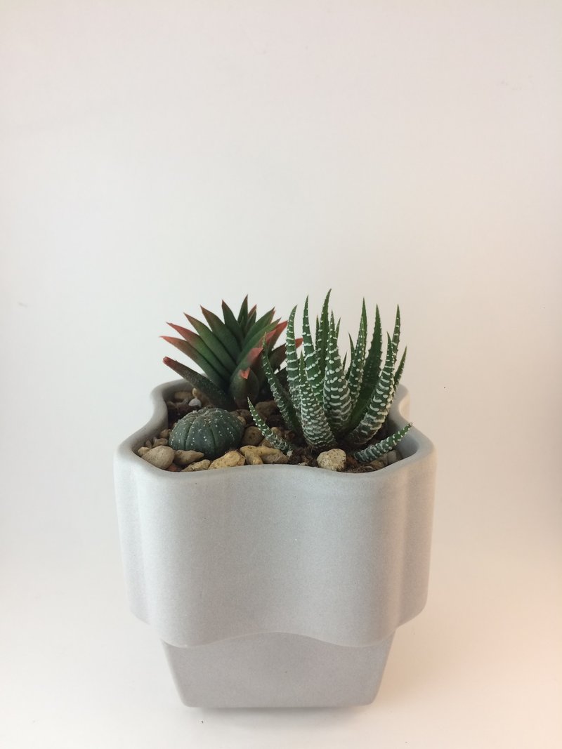 小慢花器 - 植栽/盆栽 - 其他材质 白色