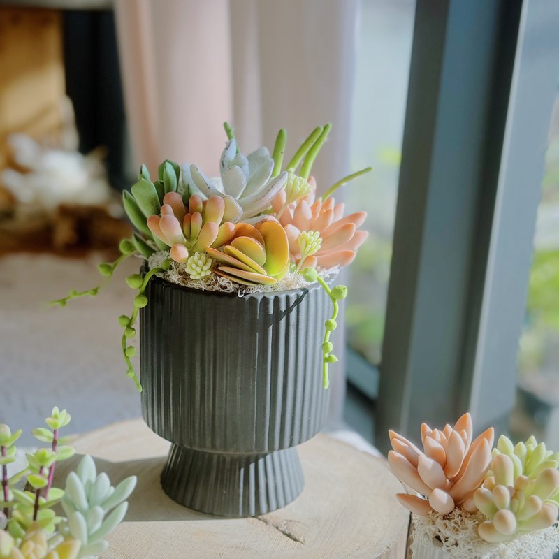 【日系礼物】多肉大花园(竖纹款-黑色).手作黏土多肉植物.附提袋 - 摆饰 - 粘土 绿色