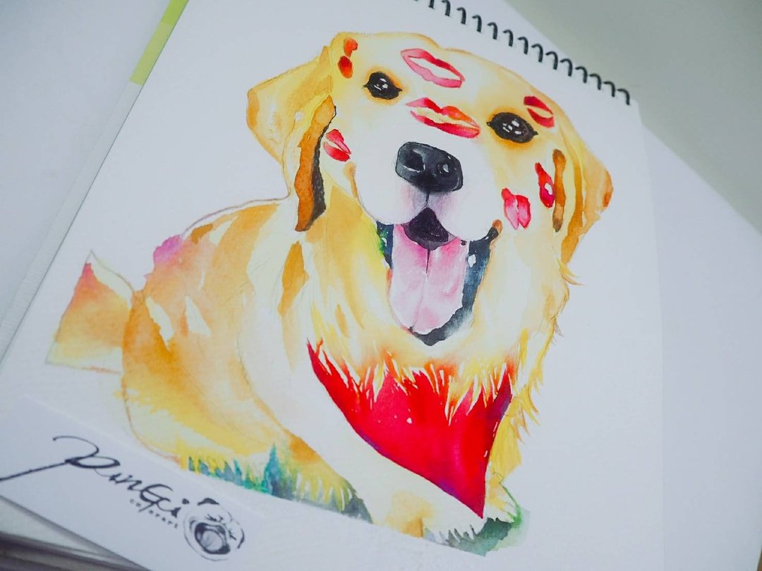 手绘水彩-定制宠物肖像画 似颜绘狗画像【不含框】毛孩:黄金猎犬 - 喜帖 - 纸 黄色