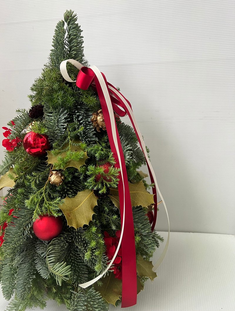 诺贝松雪松经典红圣诞树40厘米高 - 干燥花/捧花 - 植物．花 红色