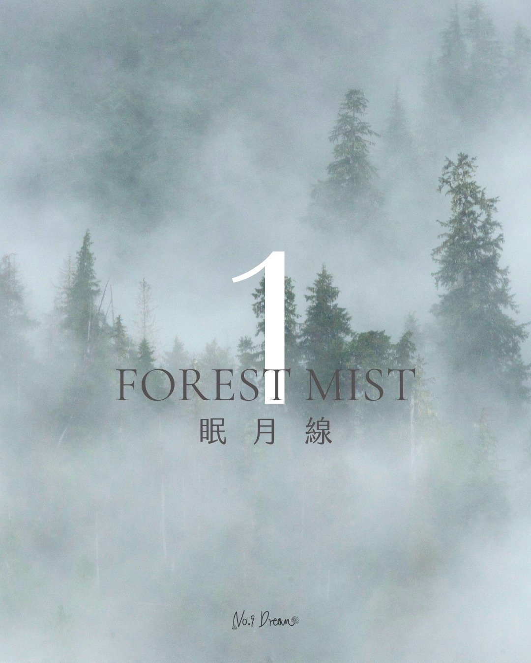 手工天然香氛大豆蜡蠋 经典香杯礼盒款 #1 眠月线 Forest Mist - 蜡烛/烛台 - 玻璃 金色