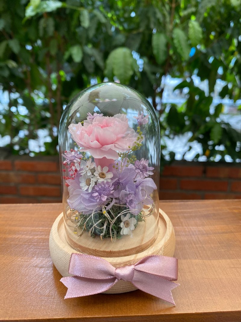 母亲节礼盒 永生康乃馨 迷你发光玻璃罩 - 干燥花/捧花 - 植物．花 
