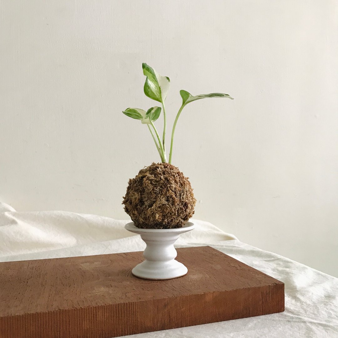 Déjà vu ceramics 陶瓷白色矿石苔球蜡烛展示台 - 摆饰 - 陶 