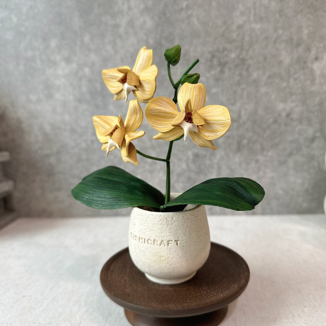 蝴蝶兰皮革盆栽 orchid 送礼 兰花 - 植栽/盆栽 - 真皮 