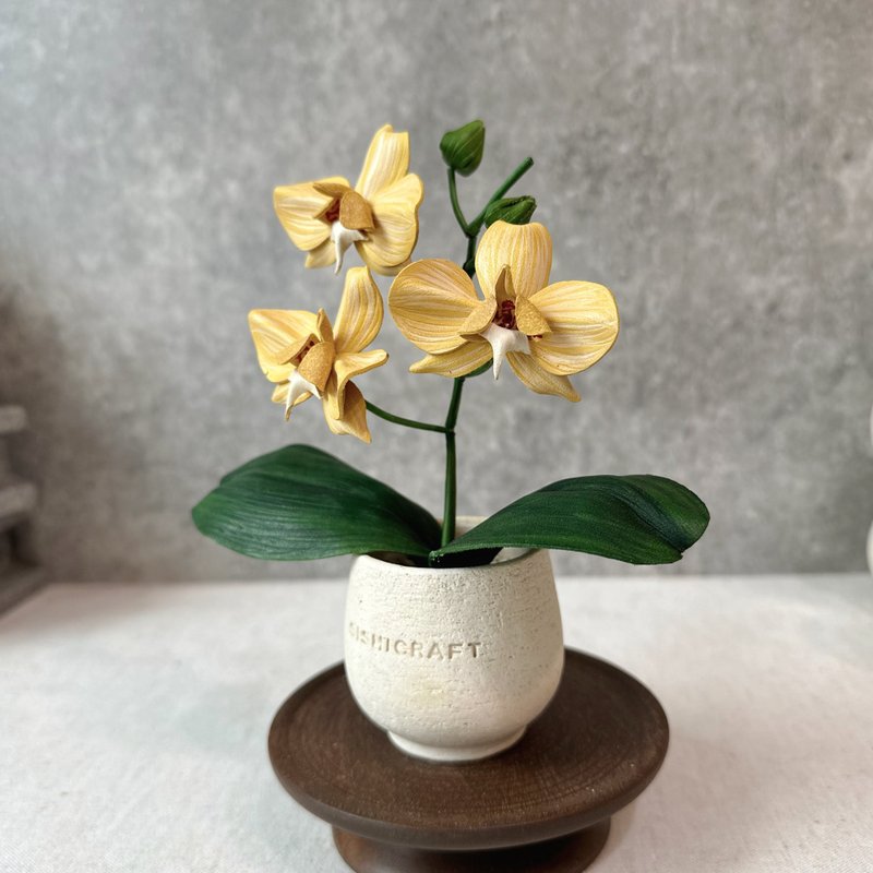 蝴蝶兰皮革盆栽 orchid 送礼 兰花 - 植栽/盆栽 - 真皮 