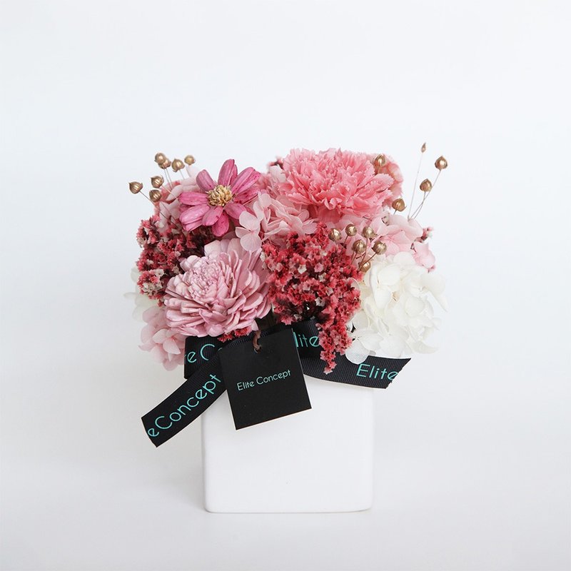 鲜粉香氛永生盆花 - 植栽/盆栽 - 植物．花 粉红色