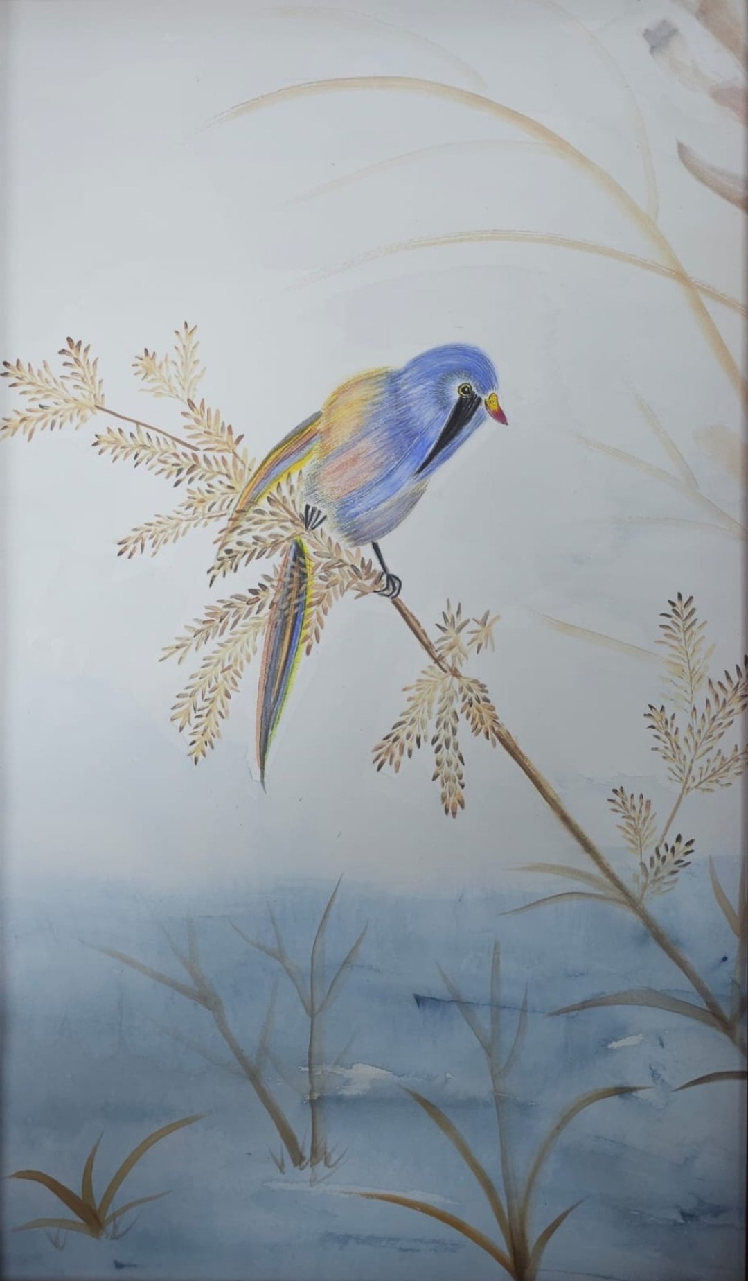 5. 田园小鸟金奖 圣诞生日礼物 手绘原创花鸟水彩画 浪漫治愈 装 - 海报/装饰画/版画 - 纸 多色