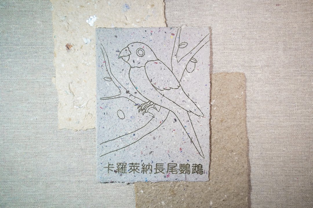 废物再造 再生纸 手抄纸 激光打印 A6 填色卡 卡罗莱纳长尾鹦鹉 - 卡片/明信片 - 纸 
