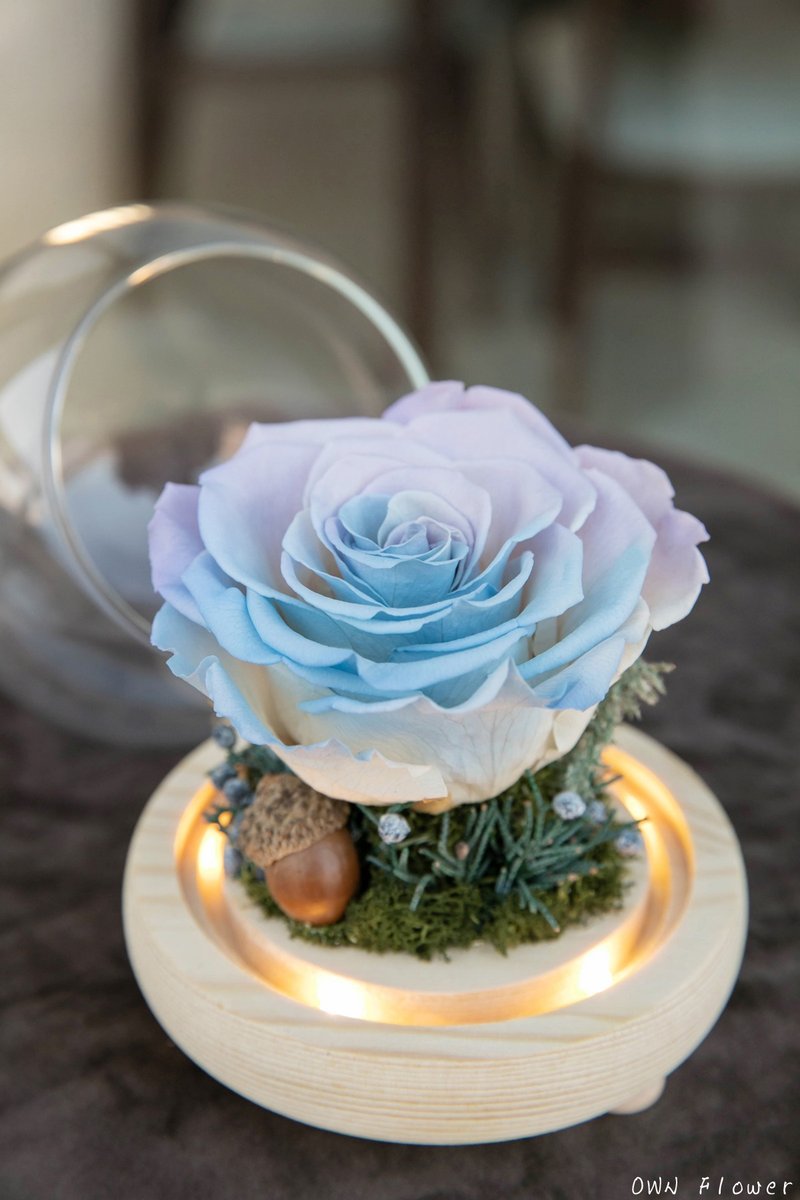 圣诞礼物/夜灯/永生花玻璃盅/生日礼物/交换礼物/永生玫瑰/不凋花 - 干燥花/捧花 - 植物．花 多色