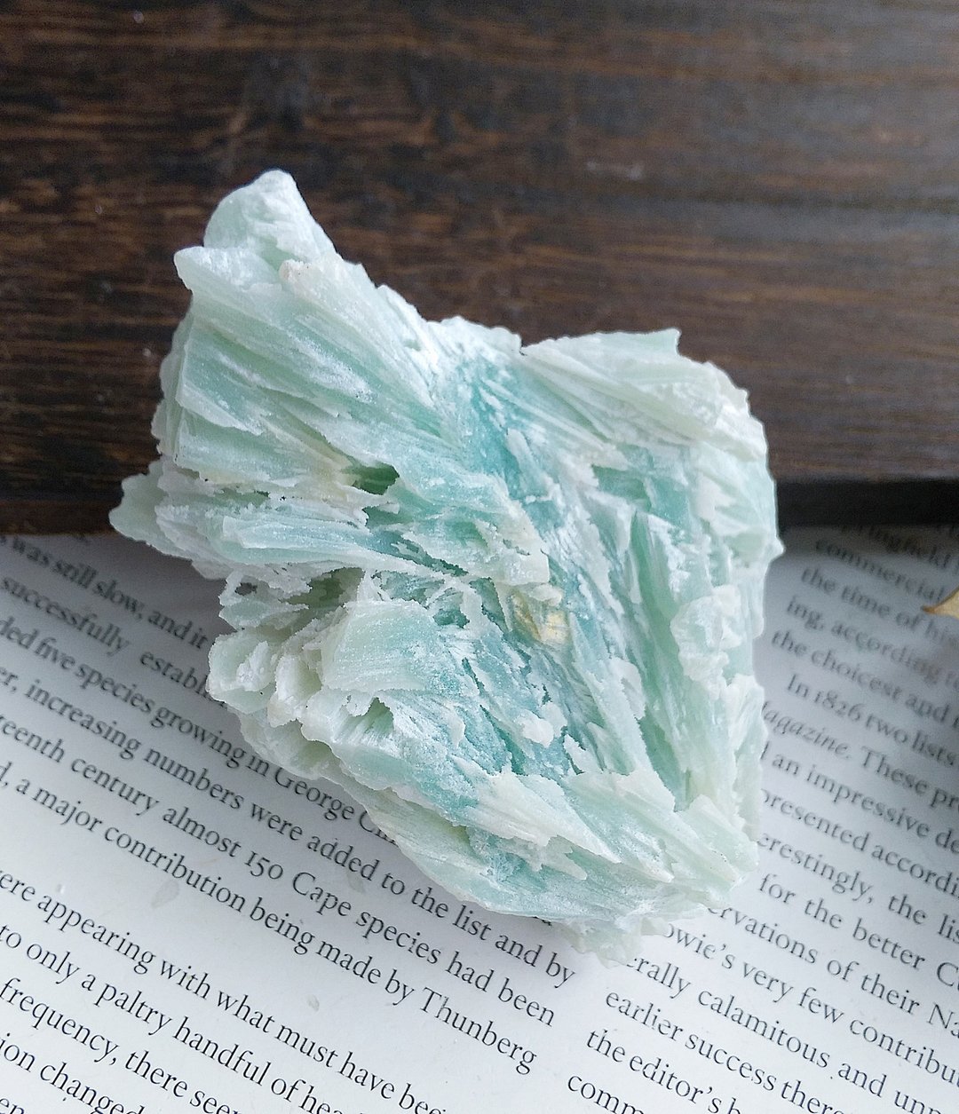 Amazonyte  贵州产地 天河石  亚马逊石 天然矿石 原矿 - 摆饰 - 其他材质 