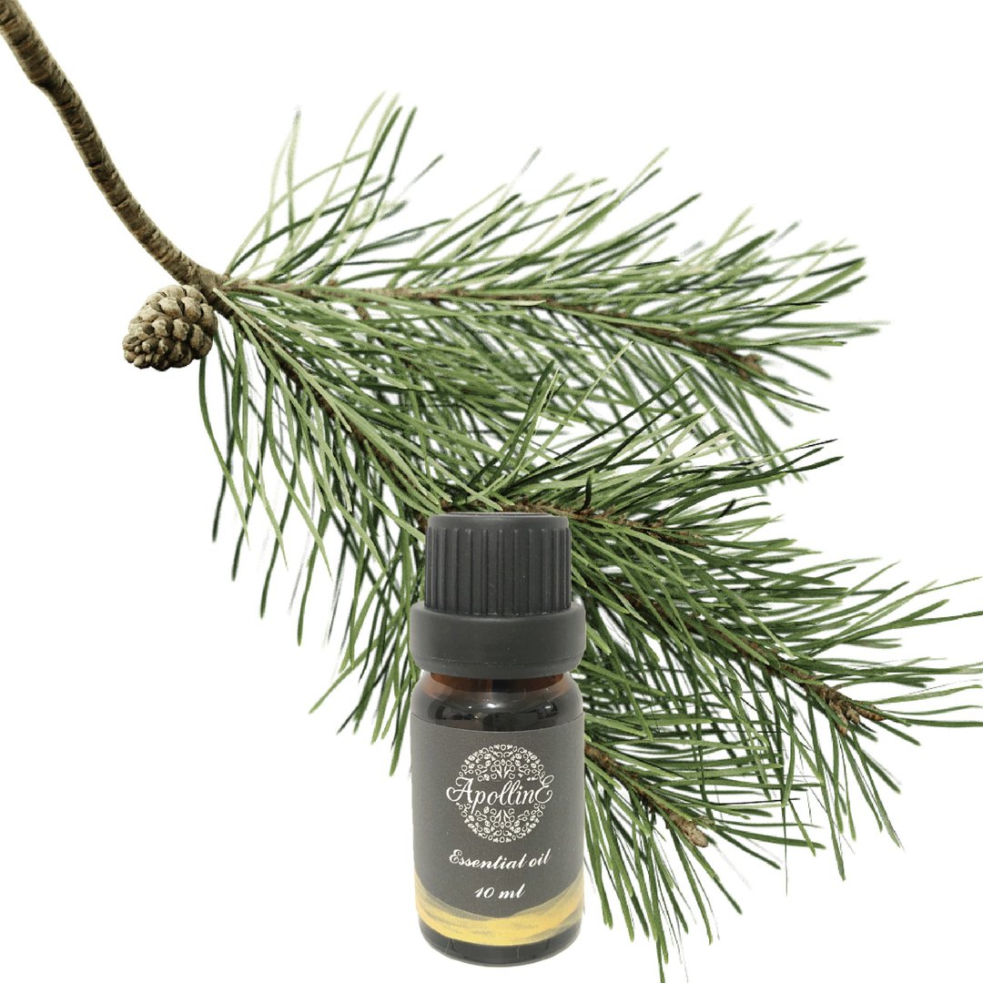 欧洲赤松精油 PINE NEEDLE - 香薰/精油/线香 - 精油 