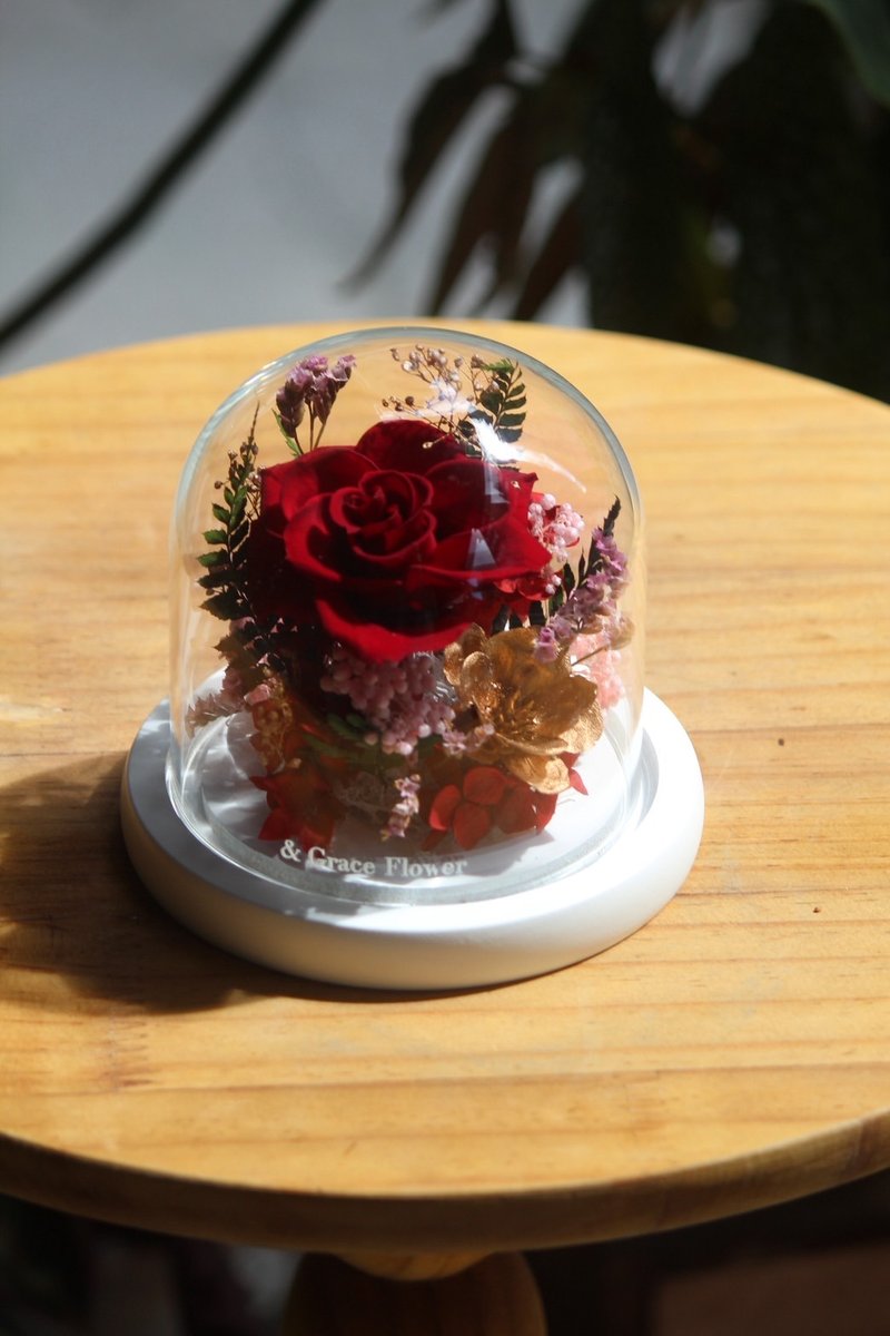 精致红色玫瑰小玻璃花盅 - 干燥花/捧花 - 植物．花 红色