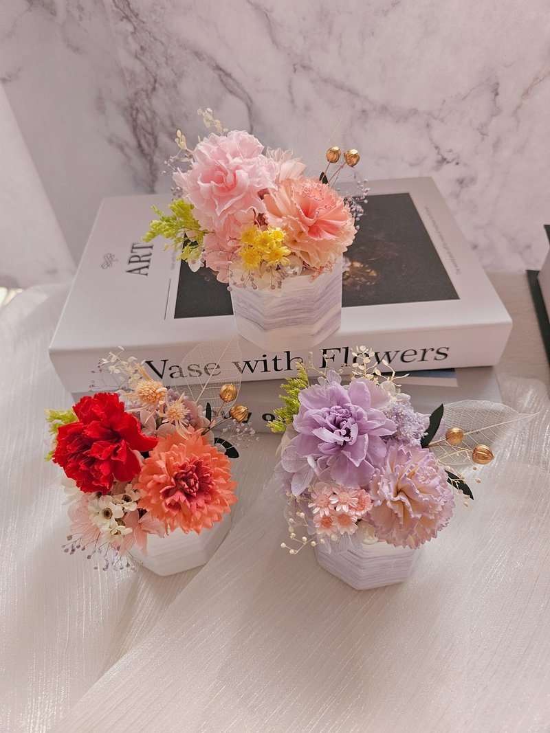 永生康乃馨扩香盆花 母亲节花礼 生日花礼 祝贺花礼 - 干燥花/捧花 - 植物．花 多色