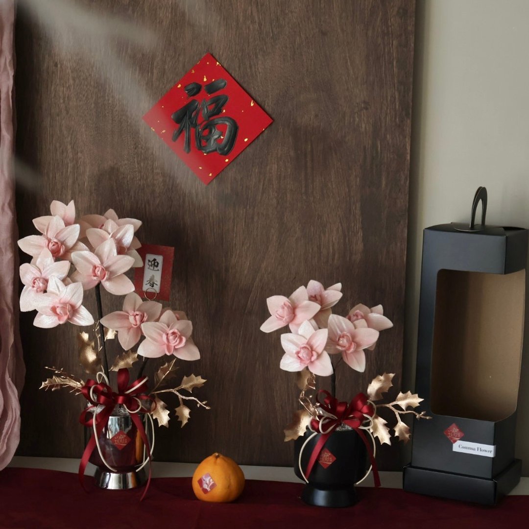 典雅粉索拉蝴蝶兰盆花 扩香花 开幕盆花 居家摆设 送礼 乔迁 - 干燥花/捧花 - 植物．花 多色
