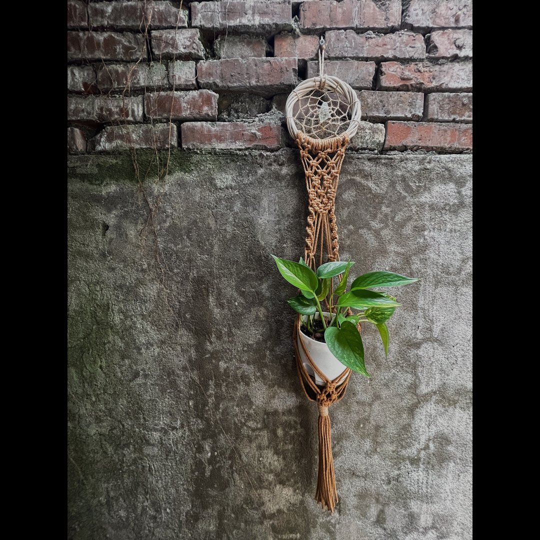补梦网植物挂篮/矿石/绿植/居家装饰 - 墙贴/壁贴 - 棉 