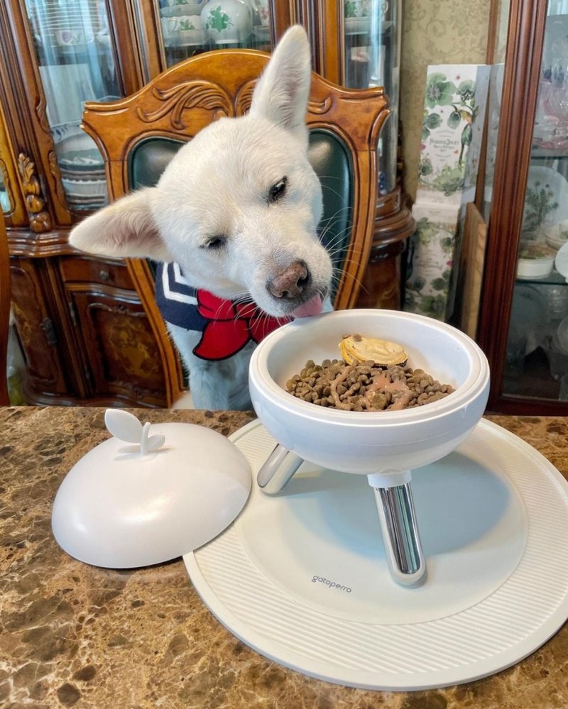 毛宝宝们的西餐般享受。苹果高脚水碗食物碗 陶瓷碗含盖 - 碗/碗架 - 其他材质 