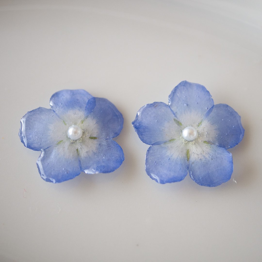 蓝眼菊 干燥花 耳针 耳夹 - 耳环/耳夹 - 树脂 蓝色