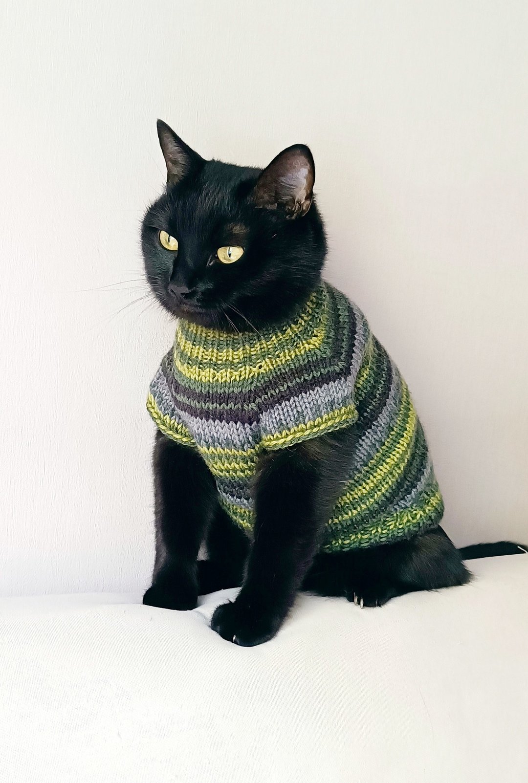 保暖猫毛衣 猫毛衣 猫针织毛衣 狗狗毛衣 猫衣服 - 衣/帽 - 羊毛 