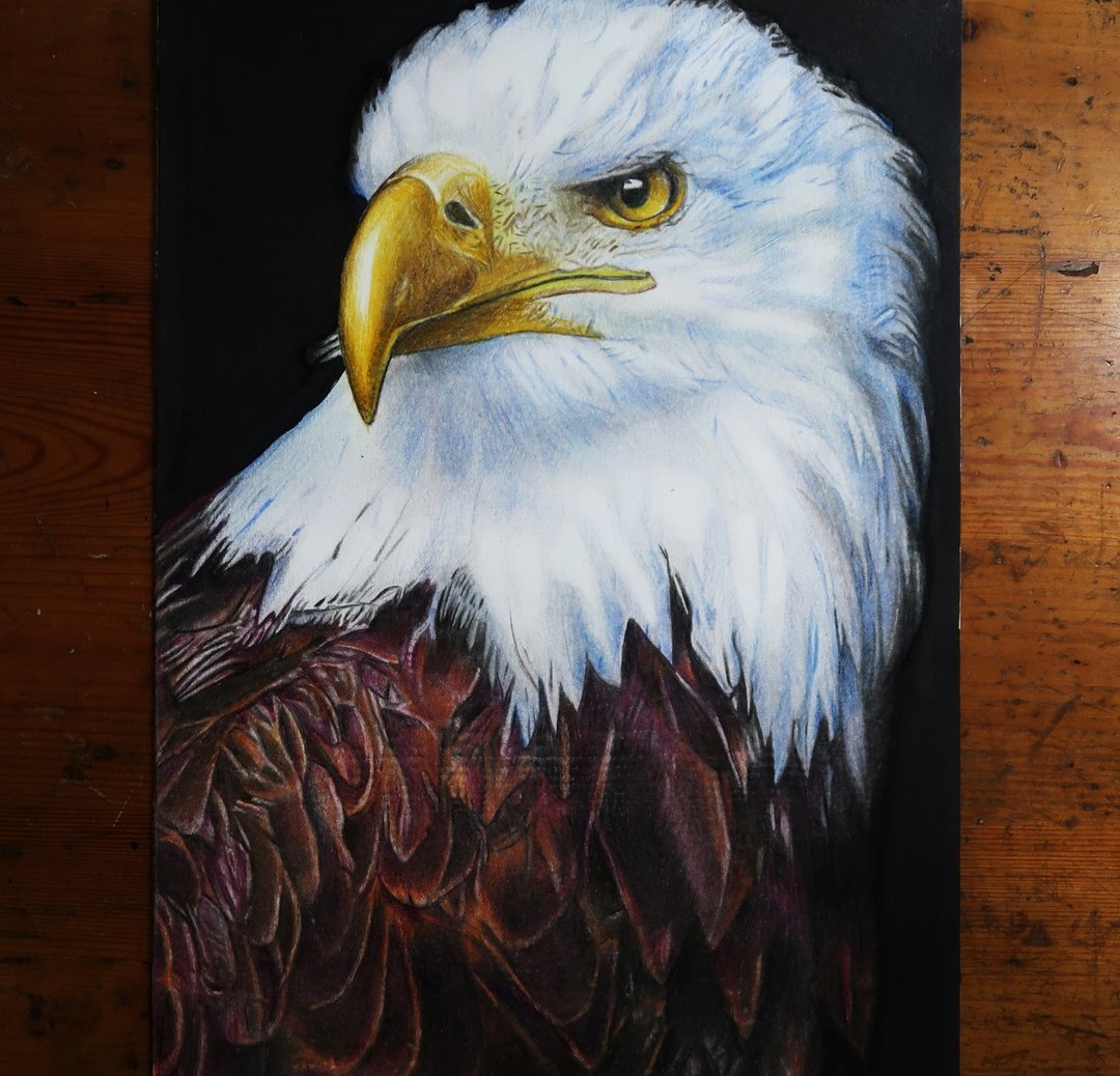 1.老鹰画(上架作品)  2.定制画  3.缩时摄影 - 订制画像 - 纸 咖啡色