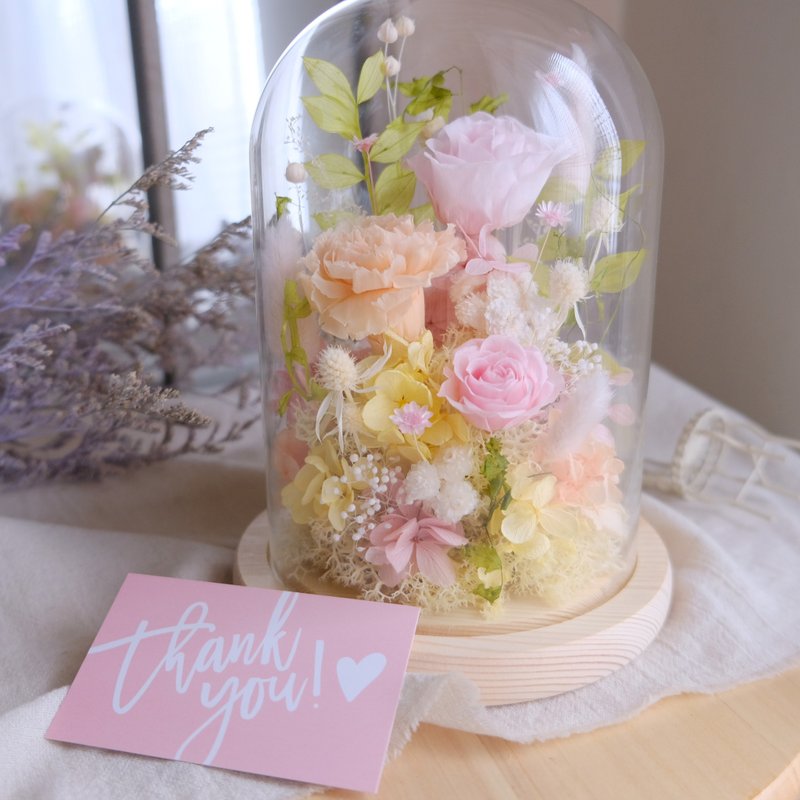 玻璃钟罩/粉色/不凋花/永生花/干燥花/康乃馨/母亲节/礼物 - 植栽/盆栽 - 植物．花 粉红色