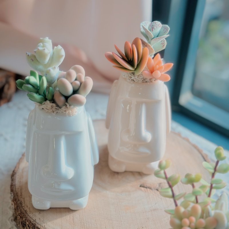 【送礼首选】黏土多肉 摩艾石像.附提袋.多肉盆栽.交换礼物 - 摆饰 - 粘土 