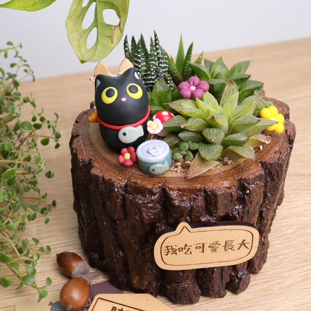 小黑猫吃罐罐 多肉植物盆栽(附字牌) |生日毕业离职升职儿童礼物 - 植栽/盆栽 - 木头 黑色