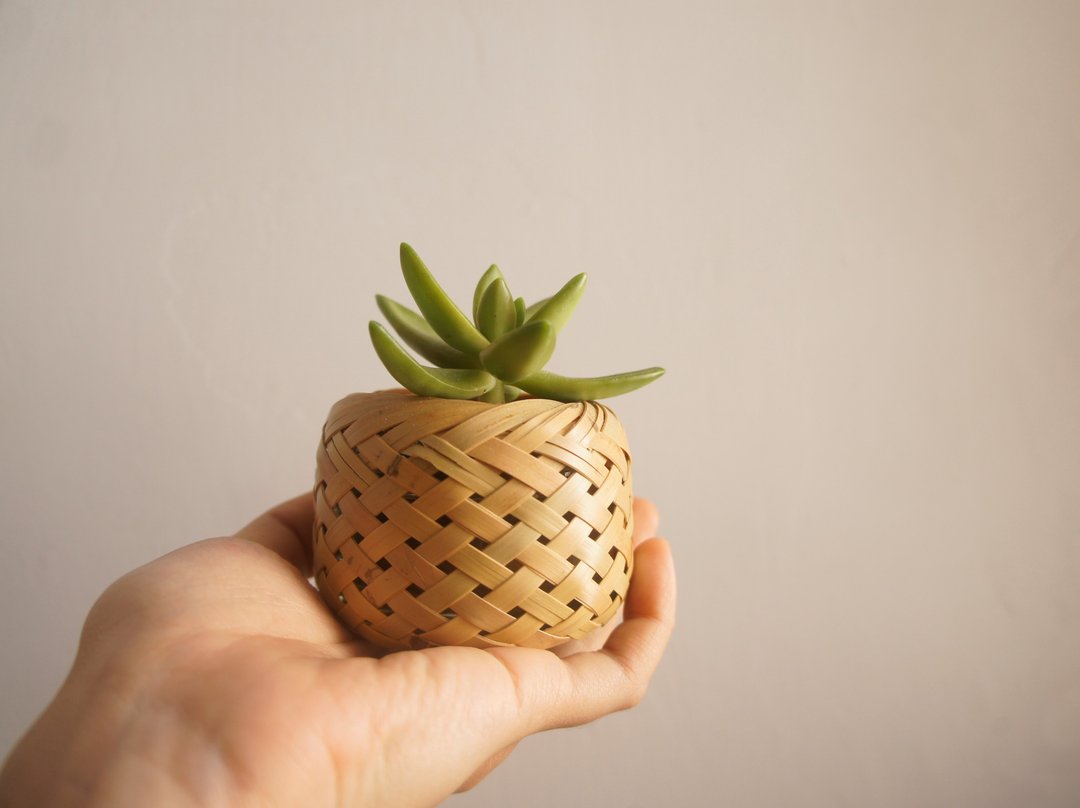 轮口小竹篮 - 竹编花器/多肉植栽/收纳小物/容器/桌上 - 植栽/盆栽 - 竹 黄色