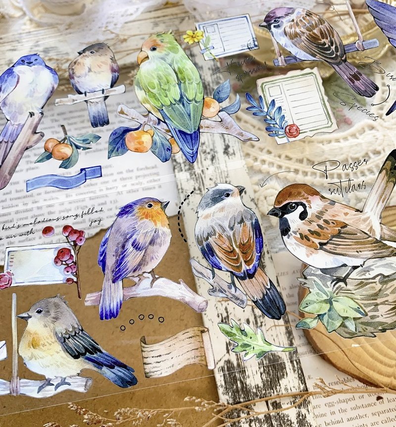 小鸟收集 復古小動物稿 PET 和紙膠帶 - 纸胶带 - 其他材质 多色