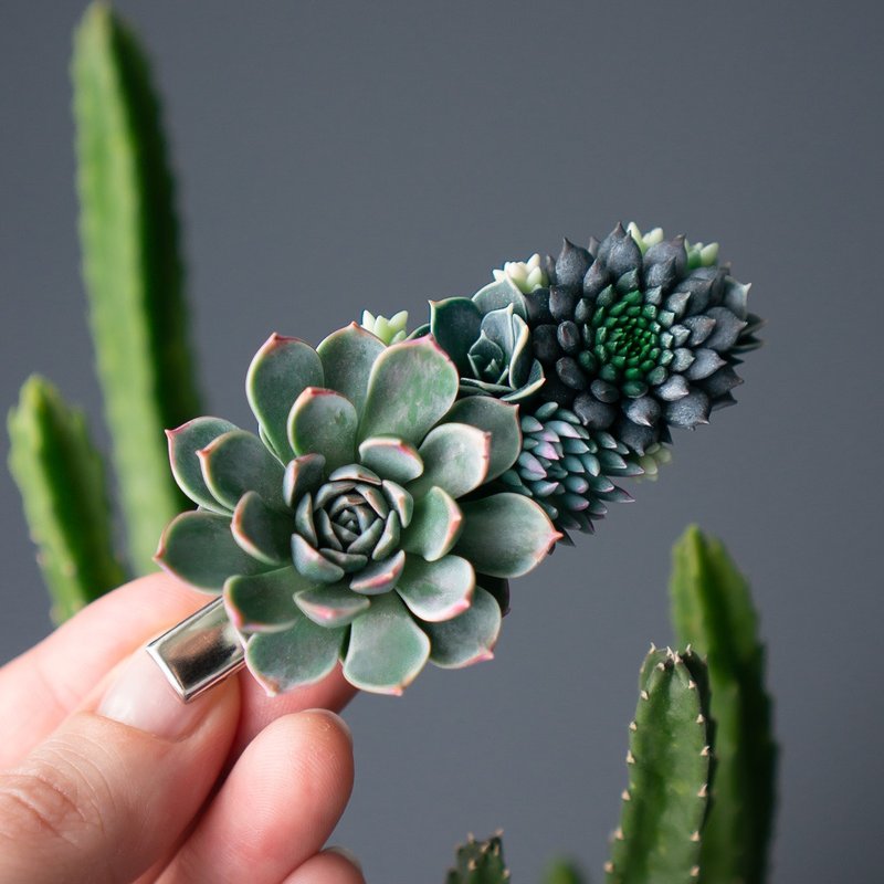 缀饰绿色多肉植物的鳄鱼夹 - 发饰 - 其他材质 绿色