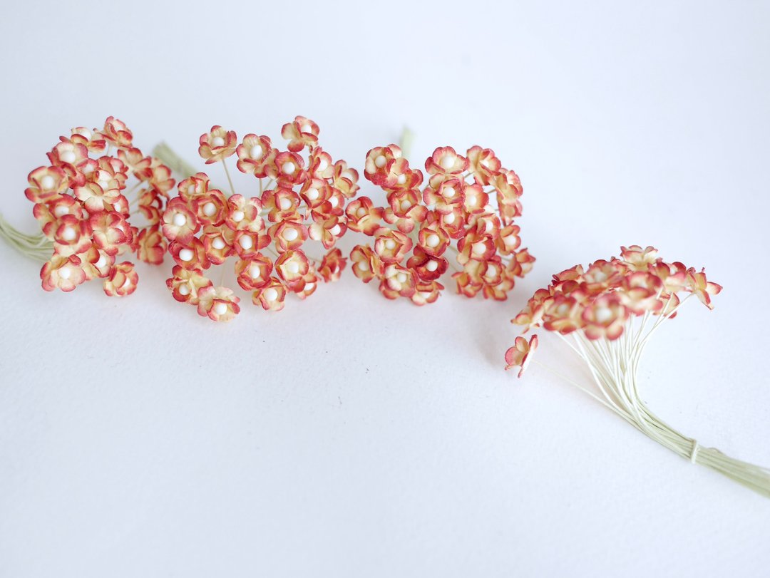 纸花，用品，100 件。加拿大海葵，尺寸 0.8 厘米，红色刷色 - 其他 - 纸 红色